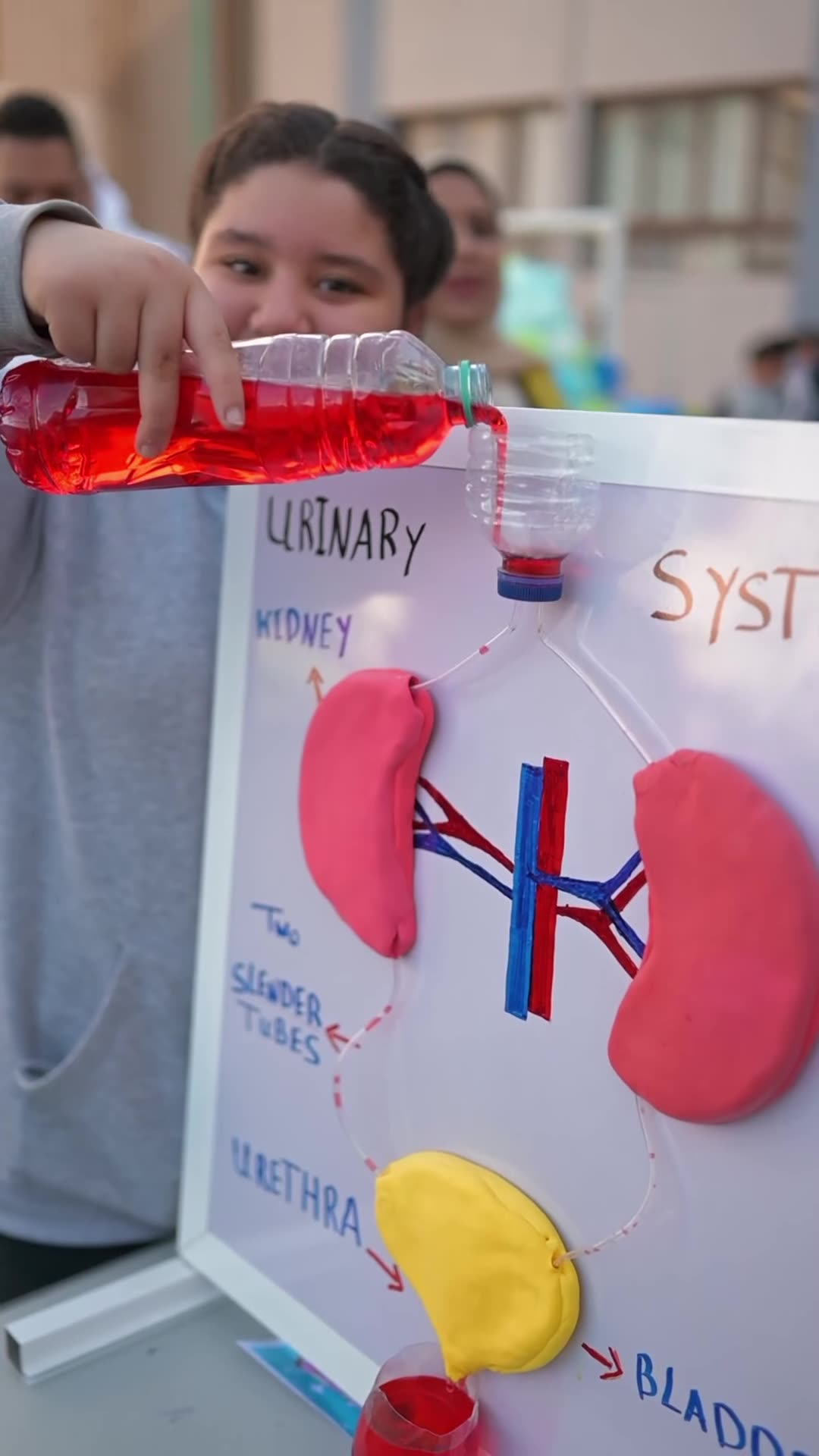 Science Fair 2026